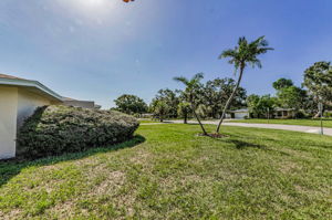 Front Yard 1