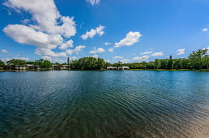 Pond View9