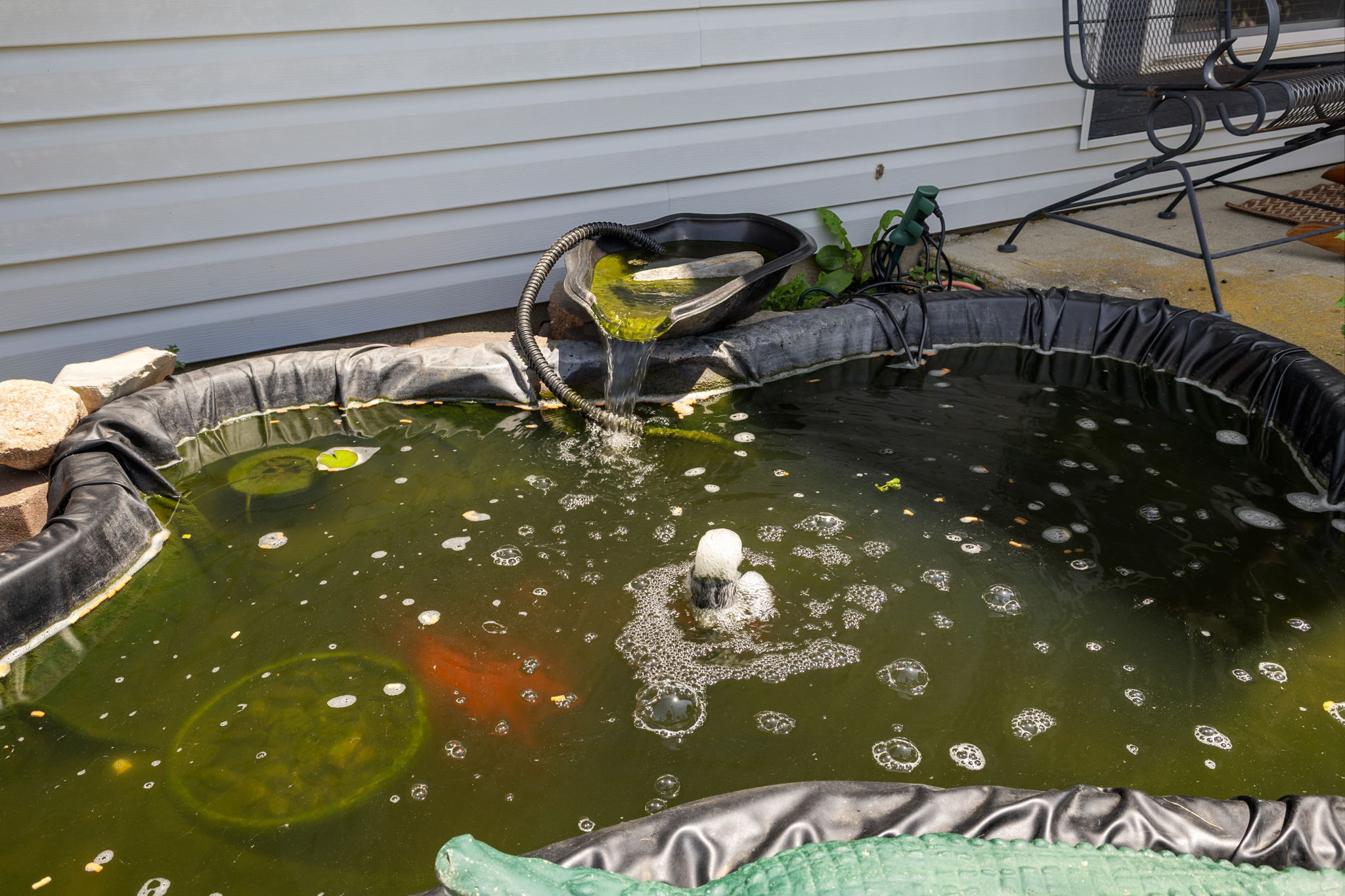  Photo 25