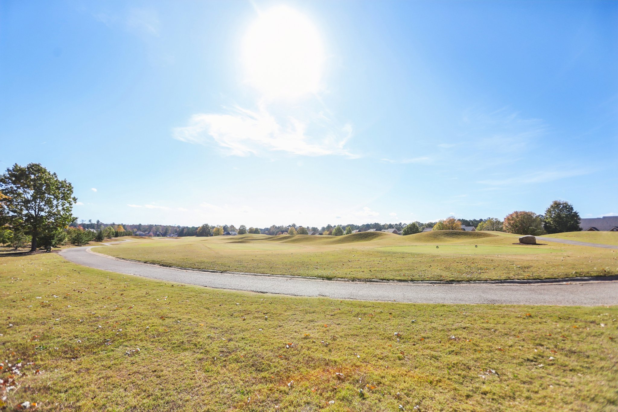 Alhambra Cir-1311-903.jpg