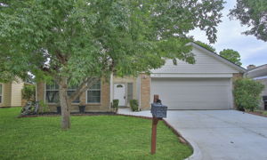 Photo 0