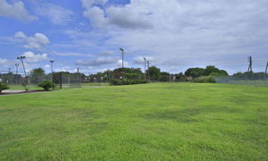  Photo 37
