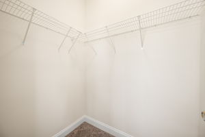  Photo 39