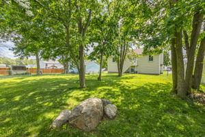  Photo 47