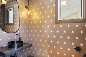 Downstairs Powder Room