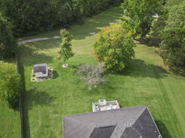  Photo 38