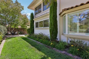 Live Oak Dr-S2507-085.jpg