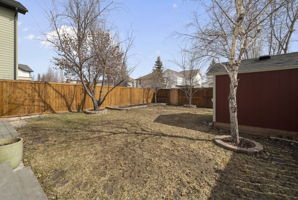  Photo 59