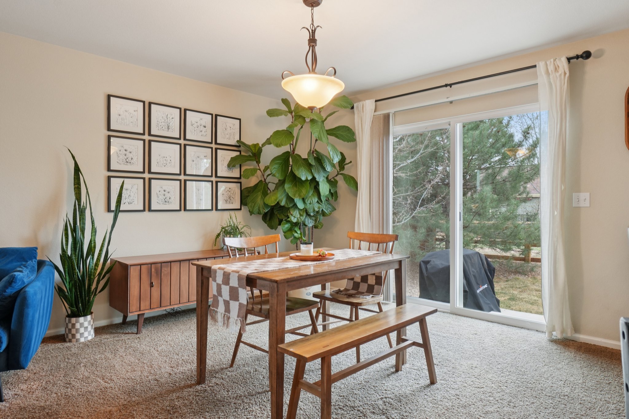 Shenandoah Way-S0104-008.jpg