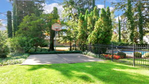  Photo 49