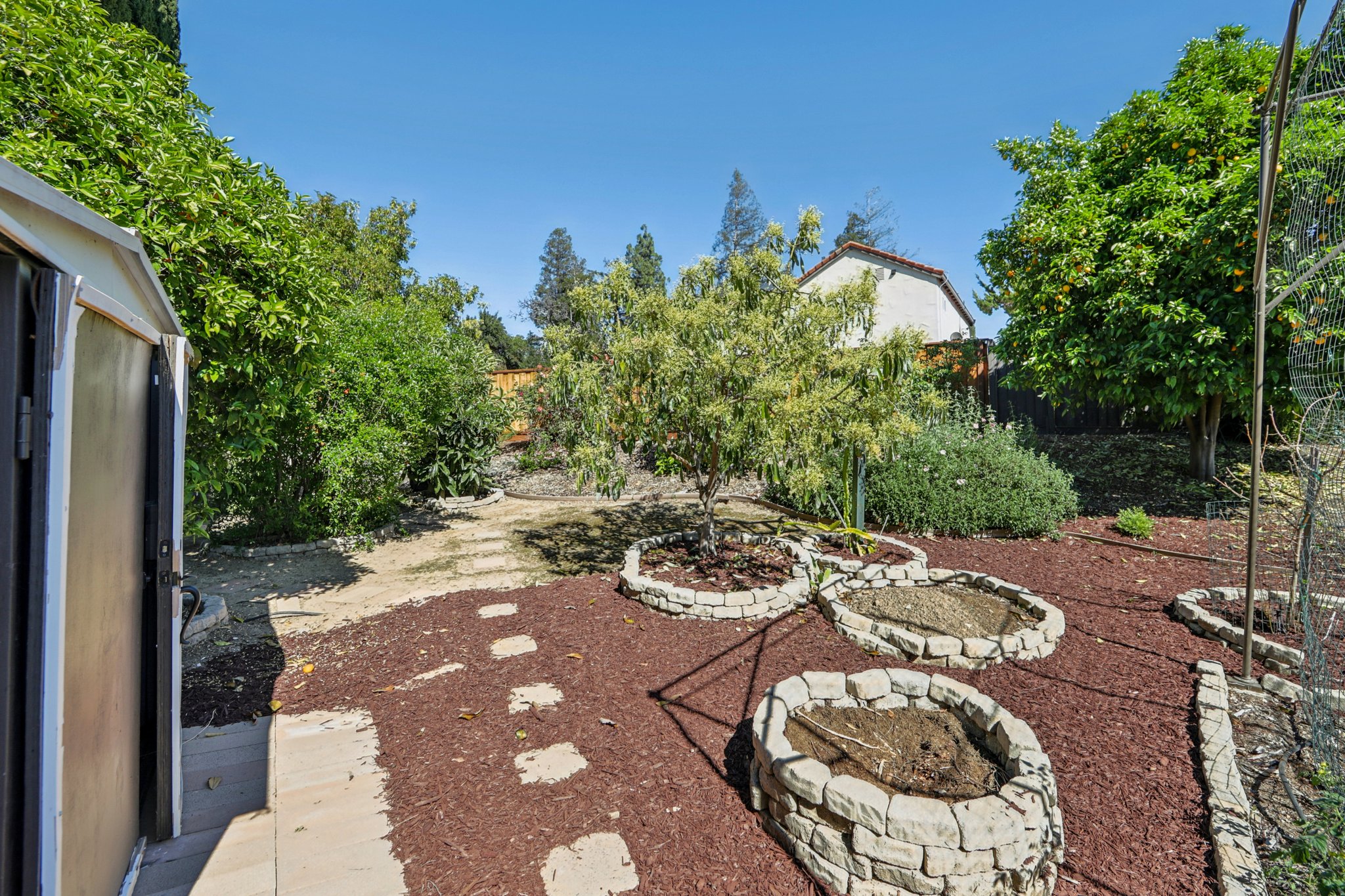 Markwood Ct-S2503-062.jpg