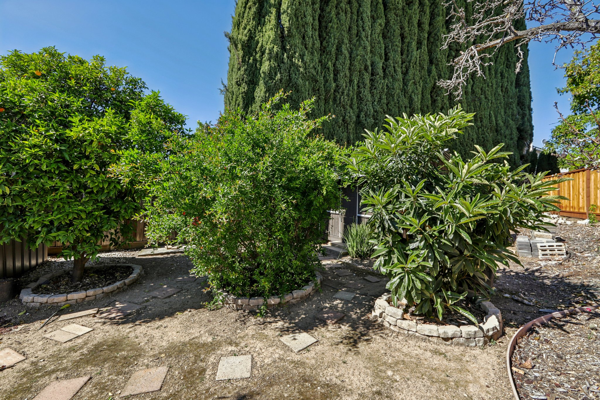 Markwood Ct-S2503-063.jpg