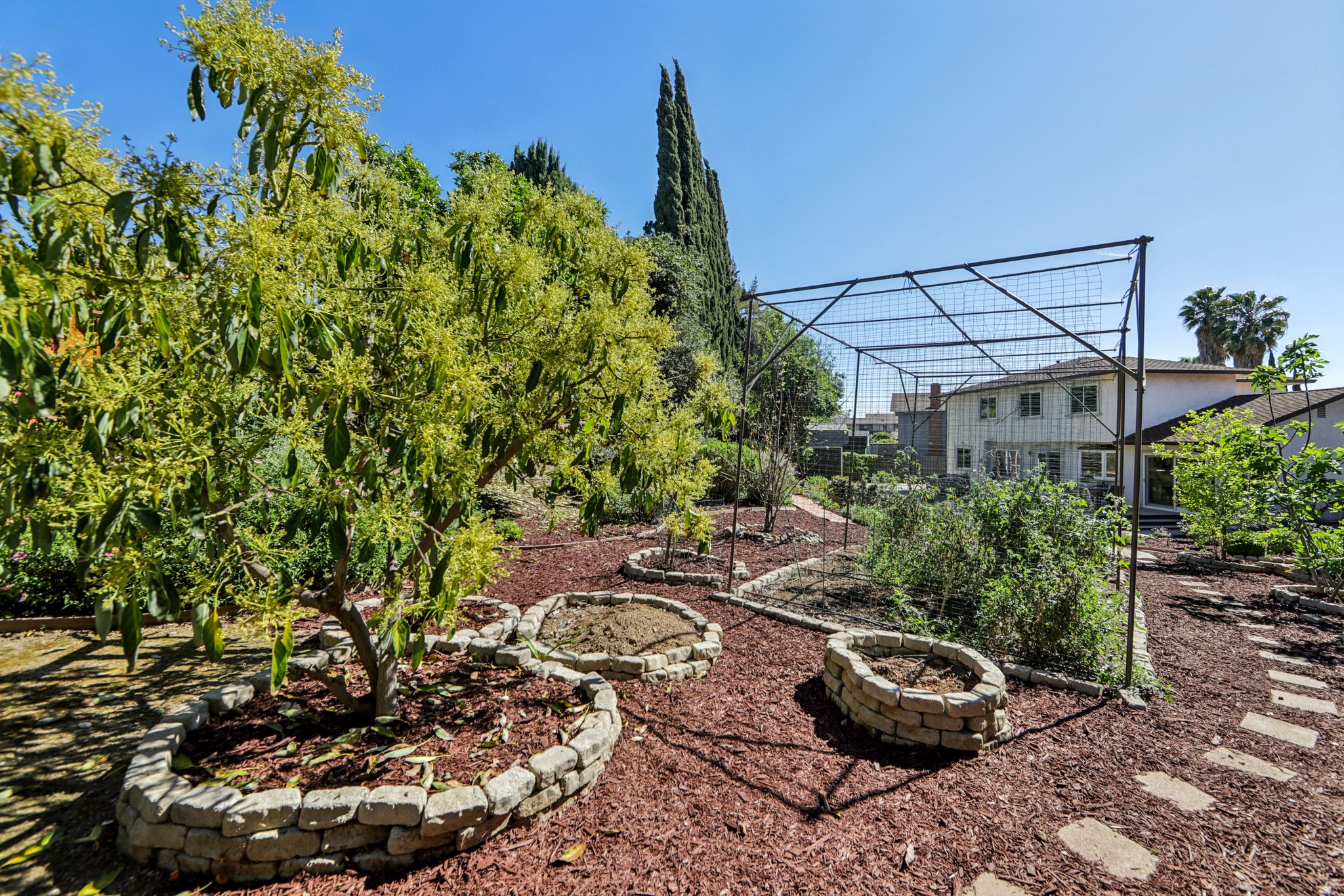 Markwood Ct-S2503-065.jpg