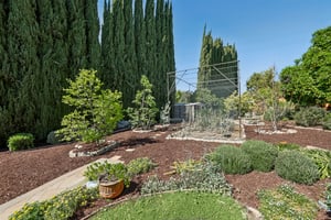 Markwood Ct-S2503-061.jpg