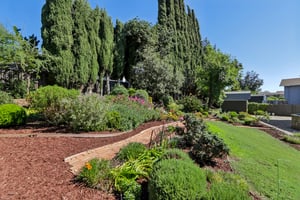 Markwood Ct-S2503-066.jpg