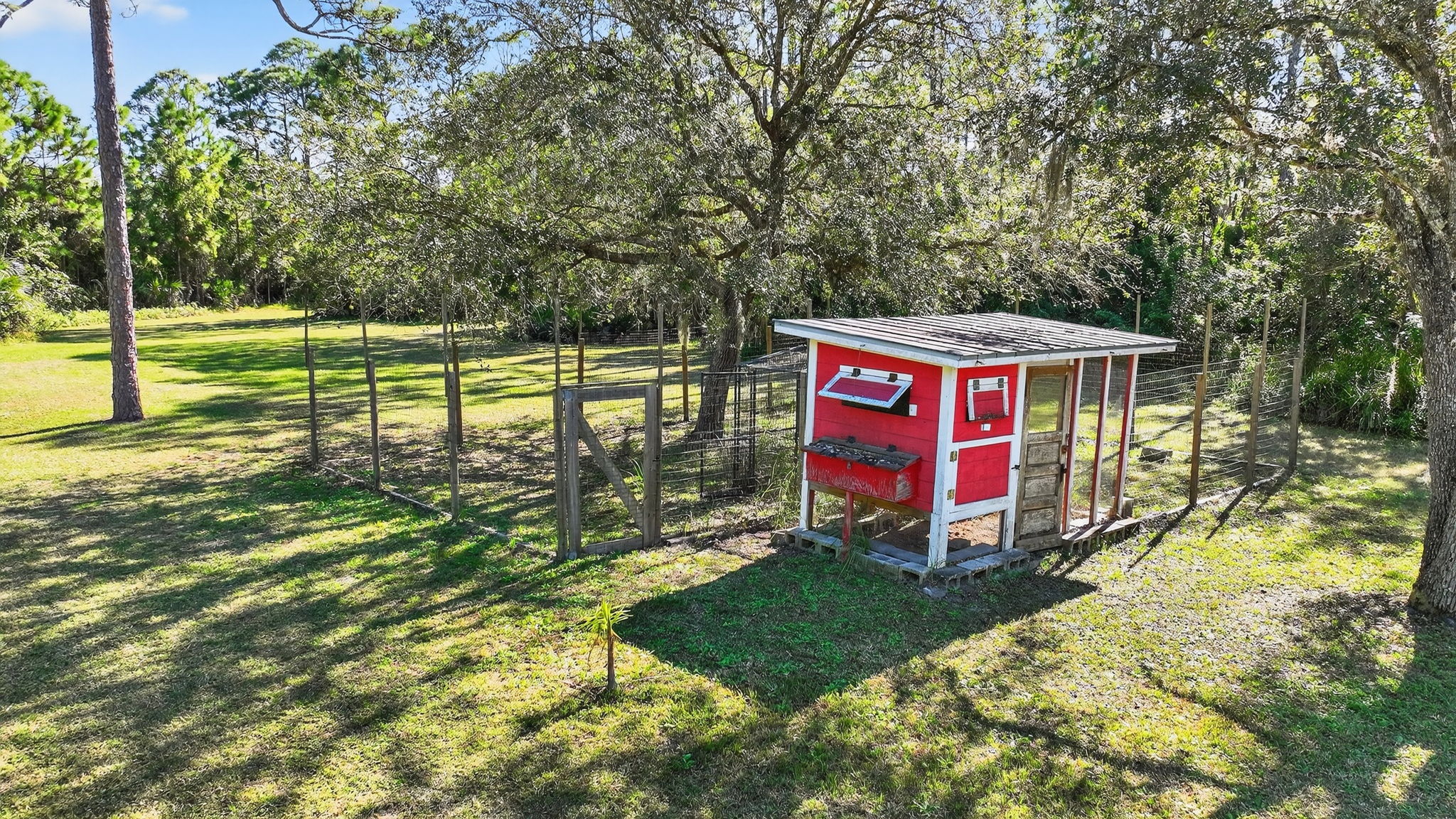 Drone Photo - Backyard