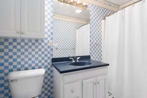 3164 Windmill Dr, Adrian, MI 49221, USA Photo 49