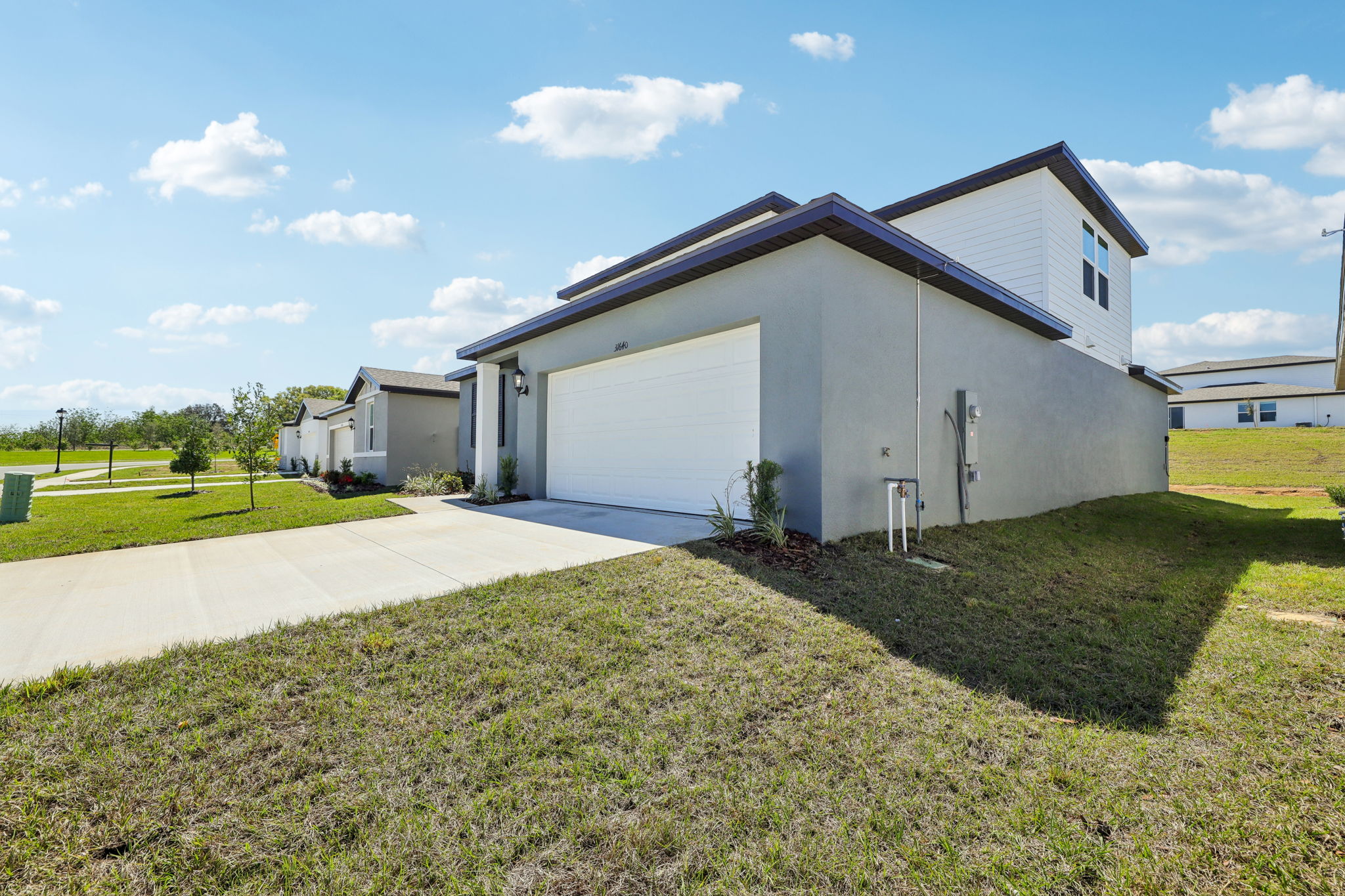 Tampa Division - Benton Hills - Lot 0158 - 31640 Malbec Drive, Brooksville, FL 34602 - 002