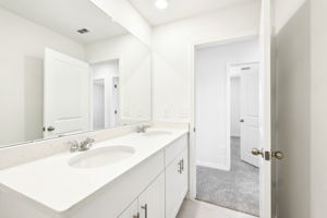 Tampa Division - Benton Hills - Lot 0158 - 31640 Malbec Drive, Brooksville, FL 34602 - 033