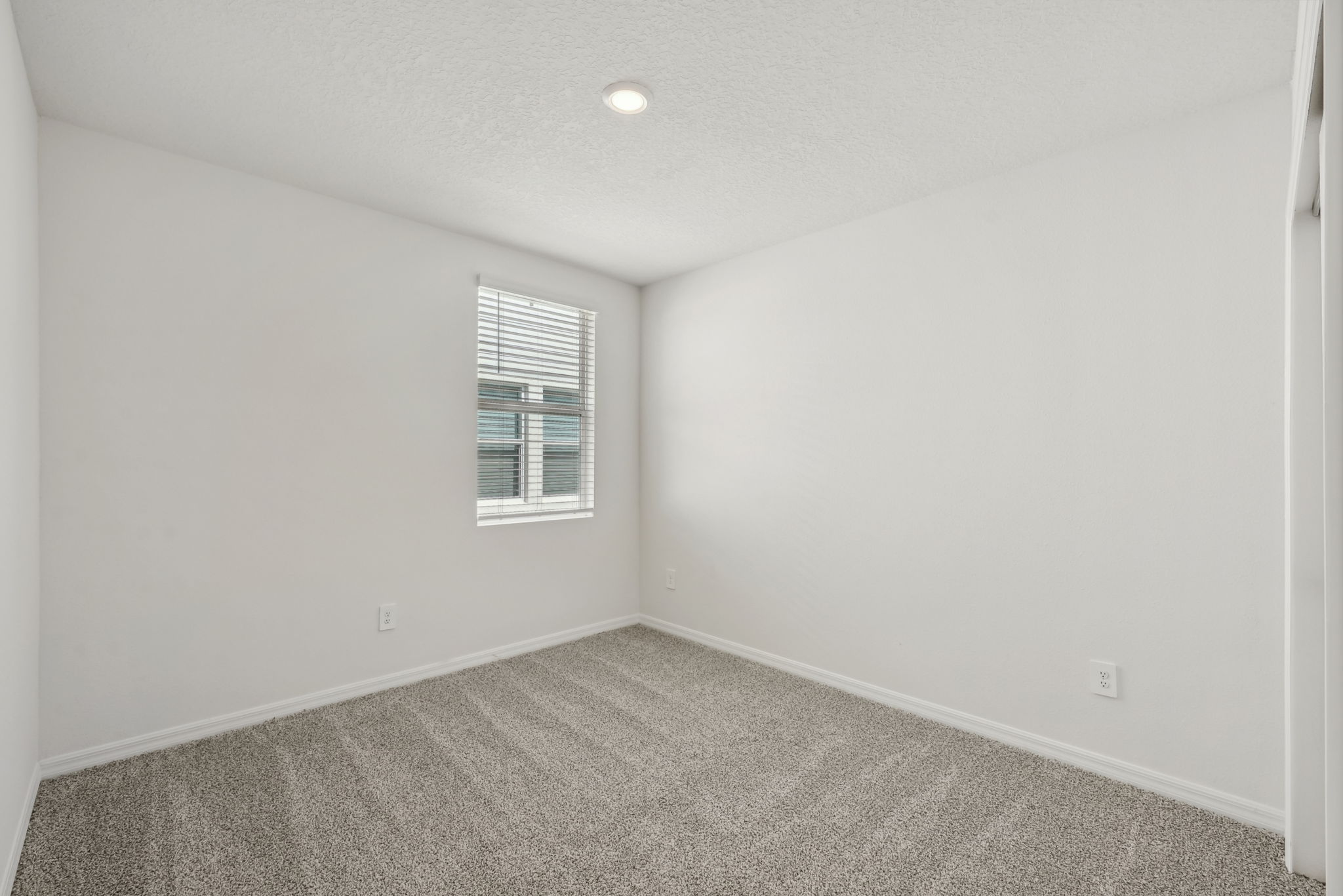 Tampa  - Benton Hills - 31647 Malbec Drive, Brooksville, FL 346020-036