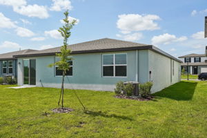 Tampa  - Benton Hills - 31647 Malbec Drive, Brooksville, FL 346020-049