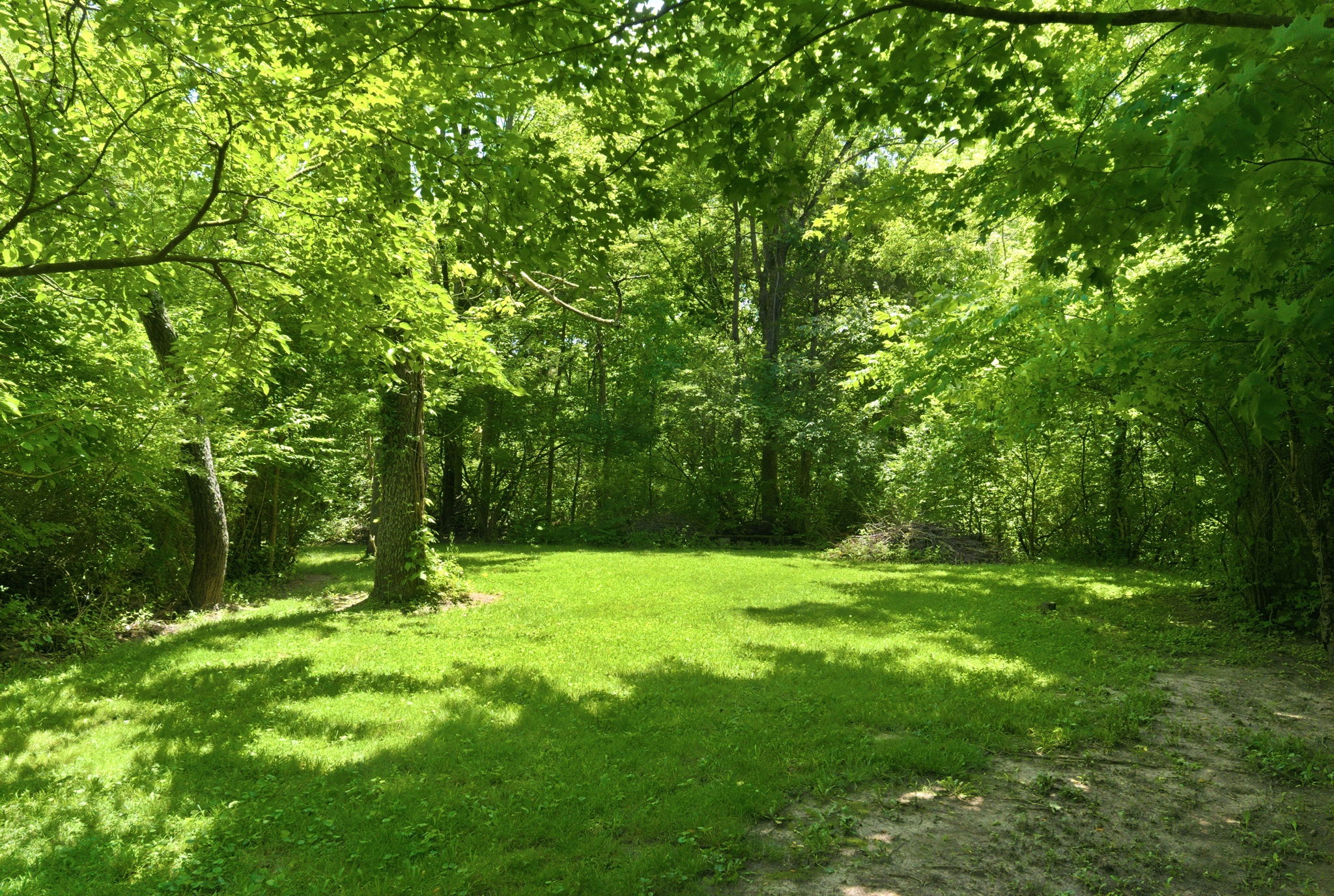  Photo 49