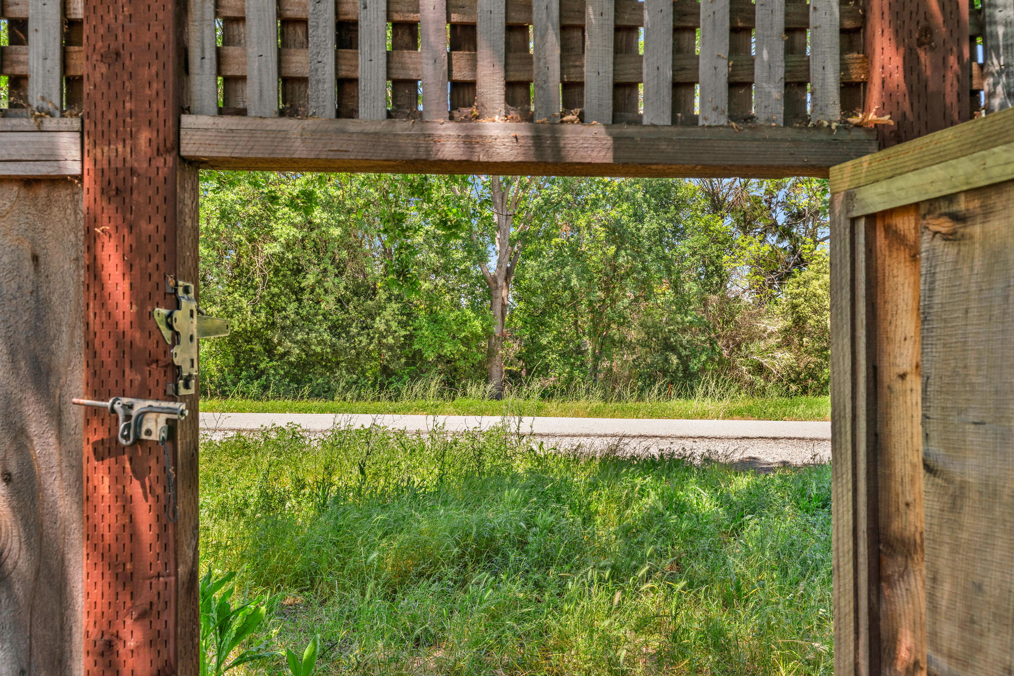  Photo 43