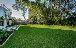 Backyard6-2