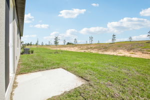 Tampa Division - Benton Hills - Lot 0120 - 31668 Wild Grape Lane, Brooksville, FL 34602-1118 Kelso R-29
