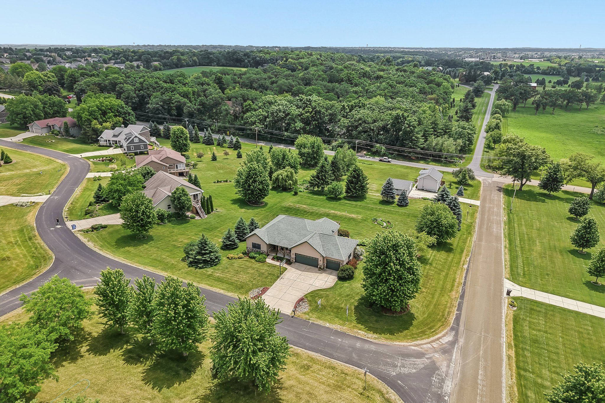 lorrabud ln-S1106-064.jpg