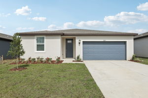 Tampa Division - Benton Hills - Lot 0127 - 31673 Wild Grape Lane, Brooksville, FL 34602 - 001