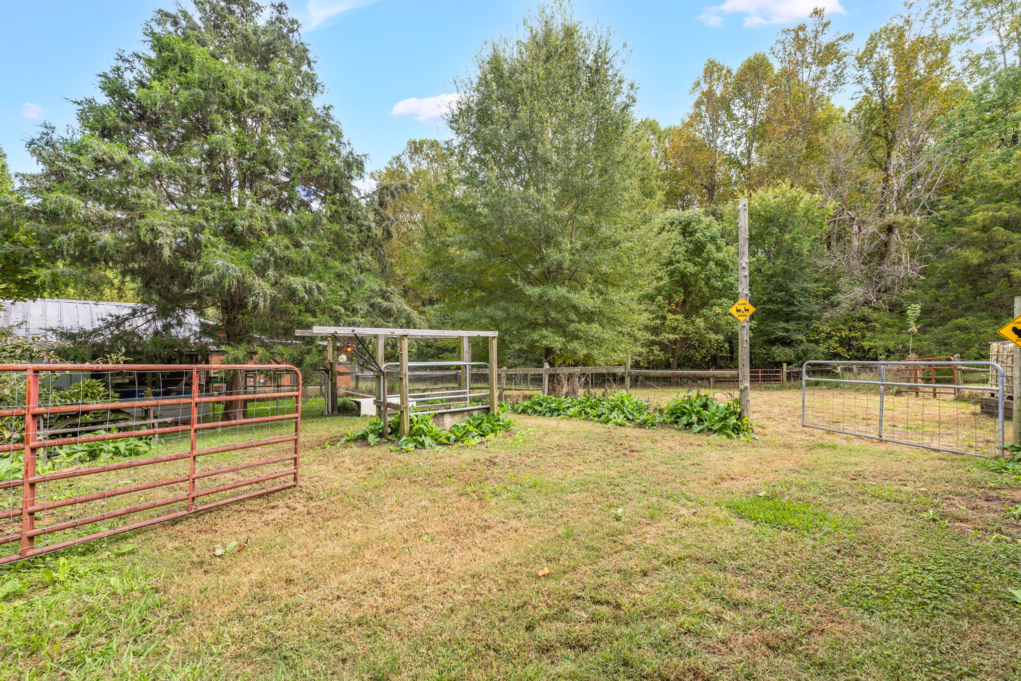 3168 Benny Lineberry Rd-58