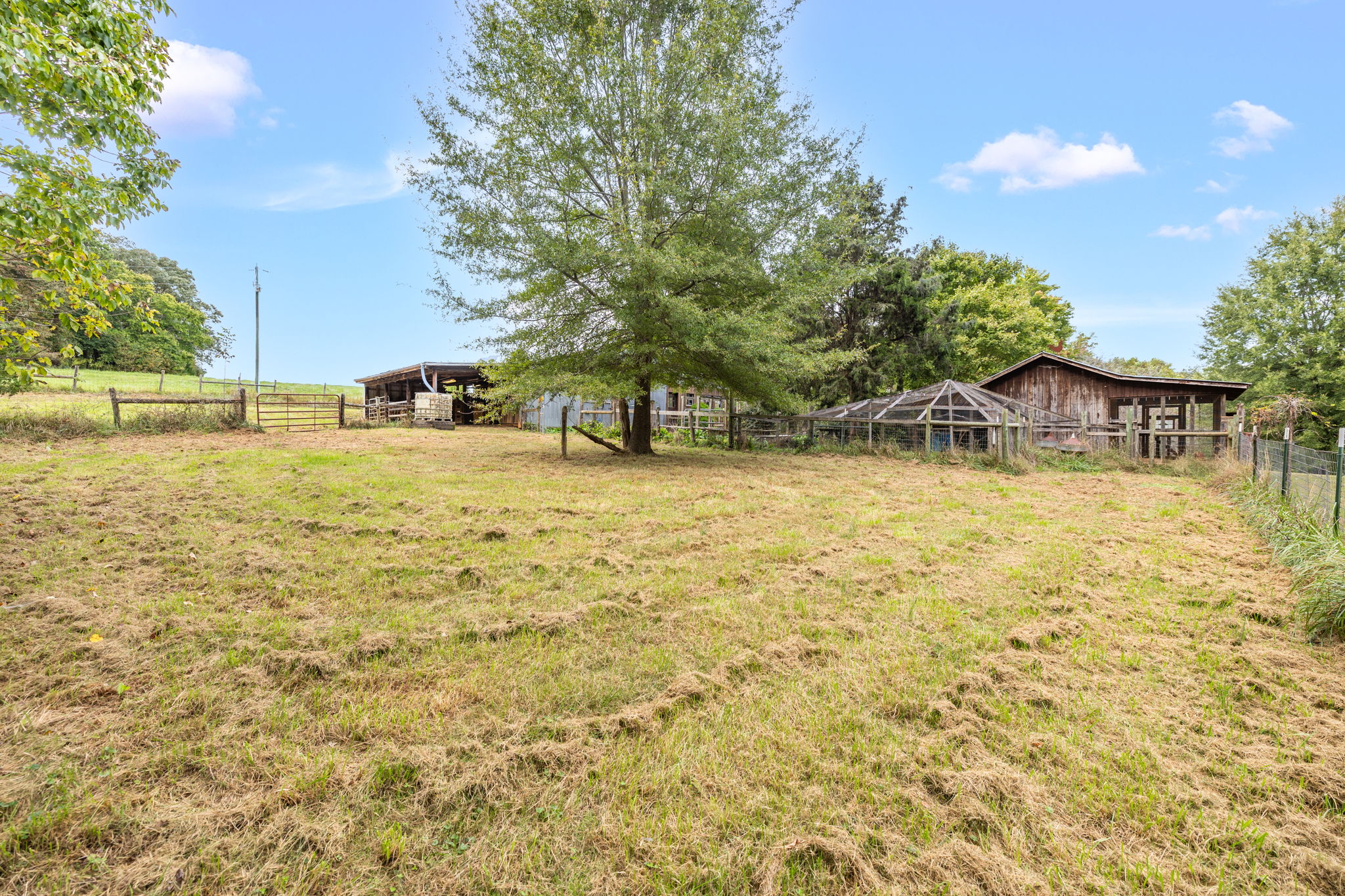 3168 Benny Lineberry Rd-65
