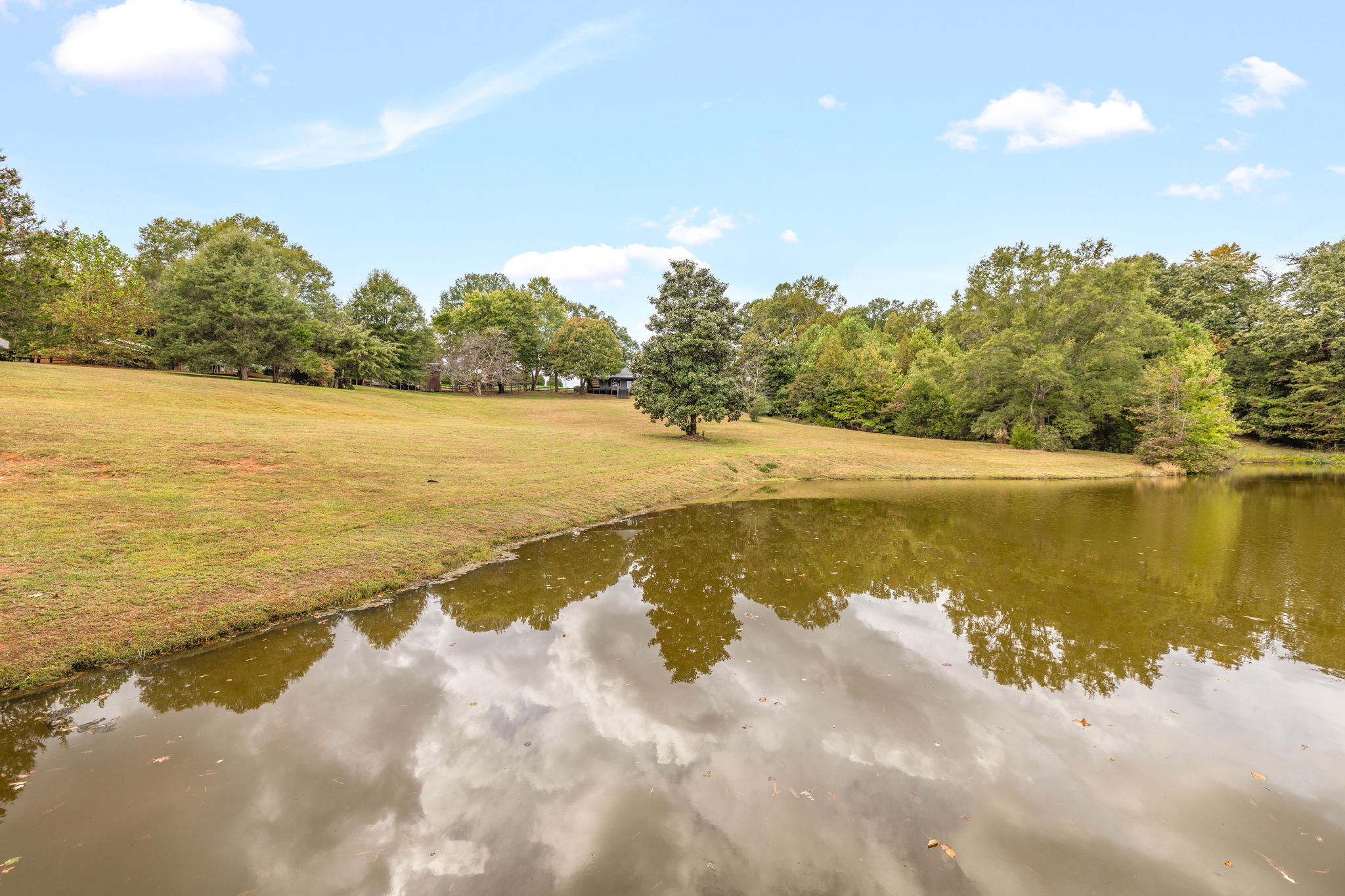3168 Benny Lineberry Rd-92