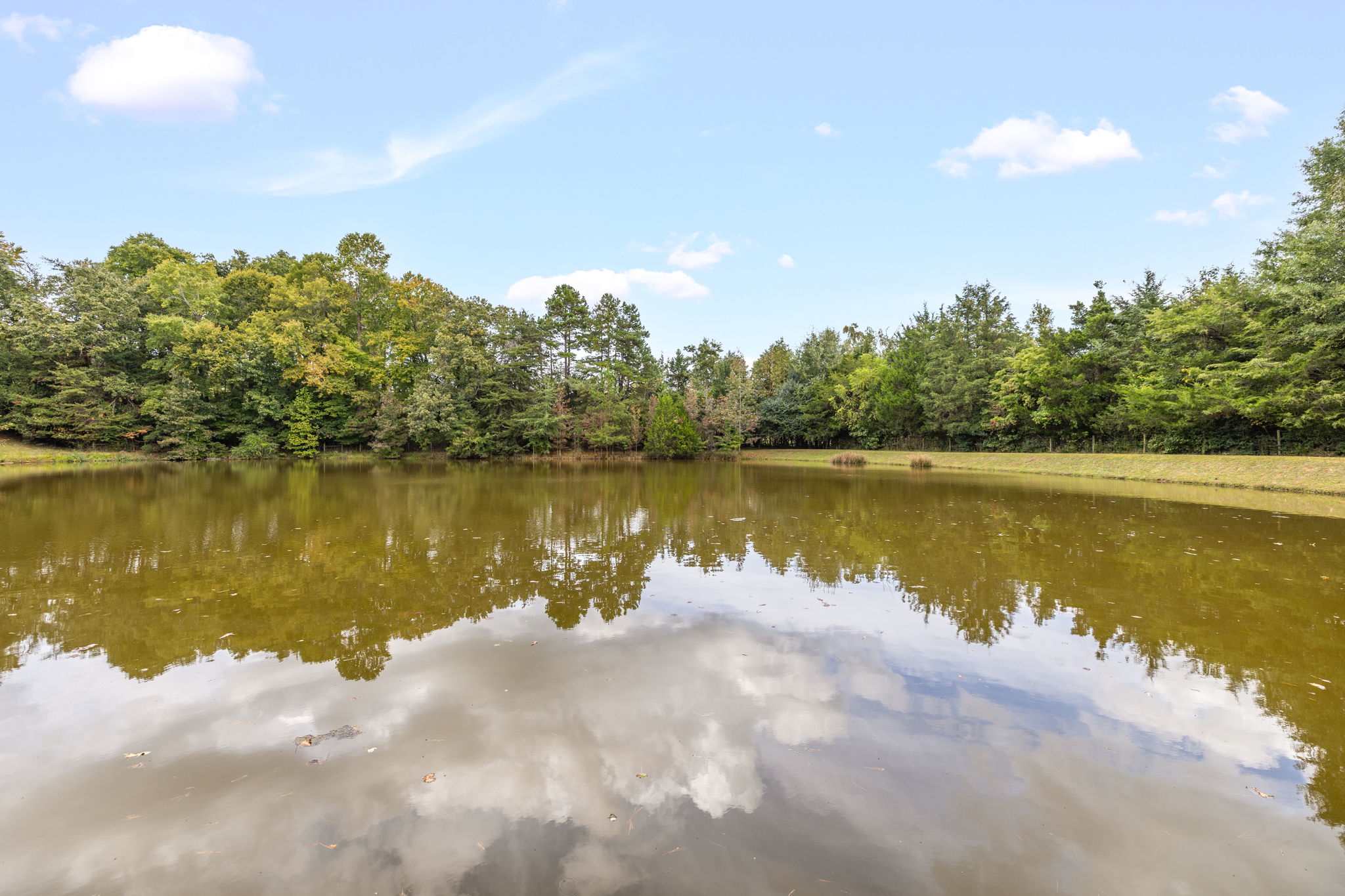 3168 Benny Lineberry Rd-93