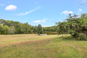 3168 Benny Lineberry Rd-88