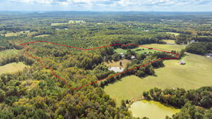3168 Benny Lineberry Rd-99