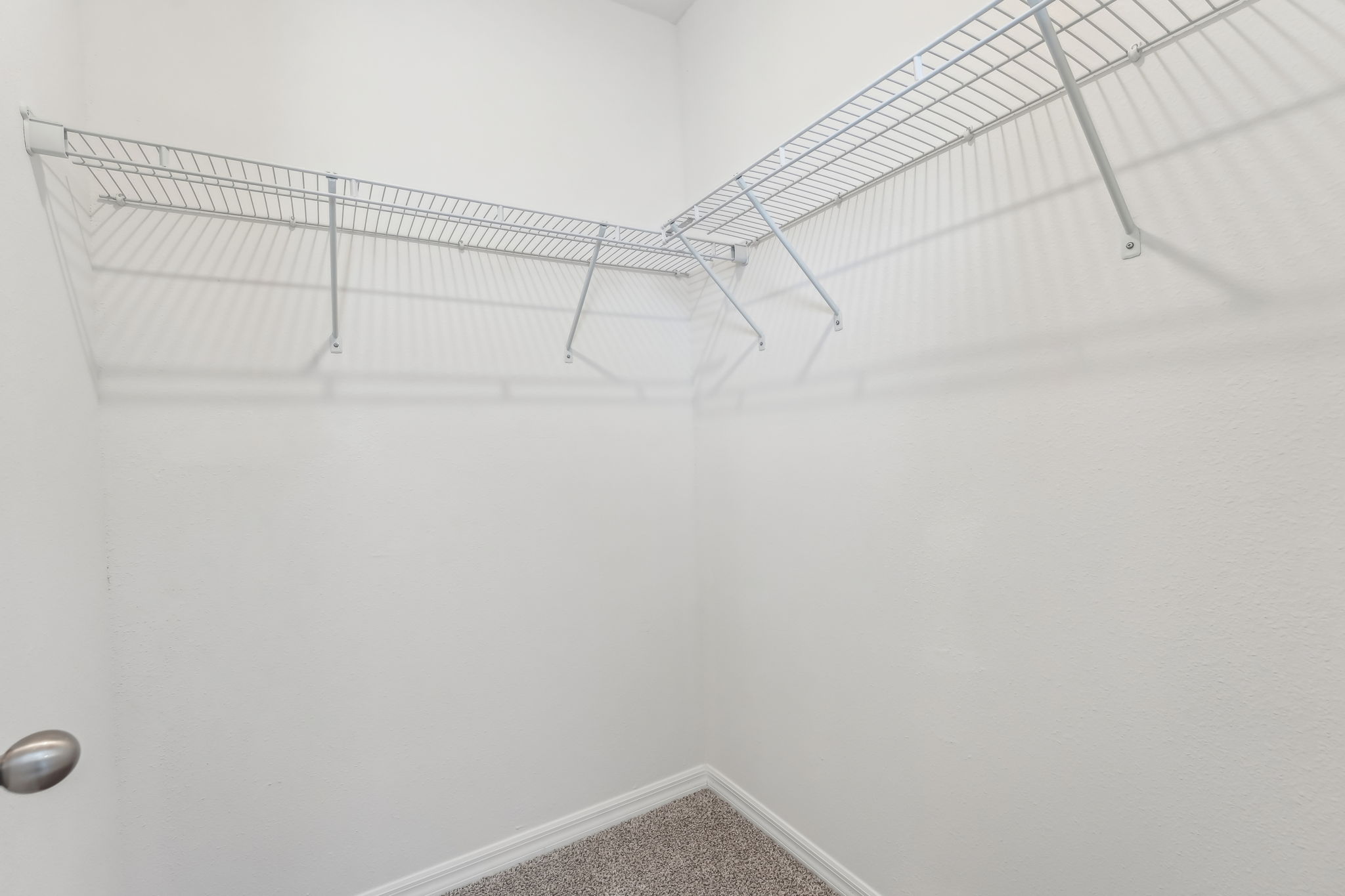 Tampa - Benton Hills - 31698 Wild Grape Ln, Brooksville, FL 34602 - 022
