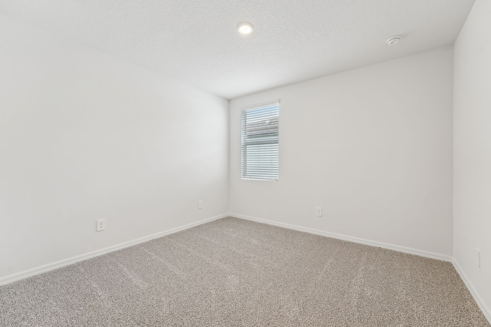 Tampa - Benton Hills - 31698 Wild Grape Ln, Brooksville, FL 34602 - 024