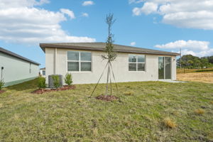 Tampa - Benton Hills - 31698 Wild Grape Ln, Brooksville, FL 34602 - 039