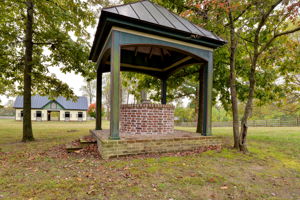  Photo 44