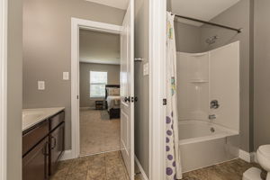  Photo 42