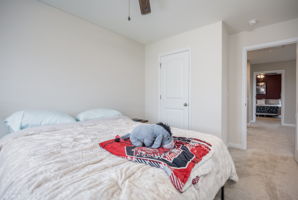  Photo 43