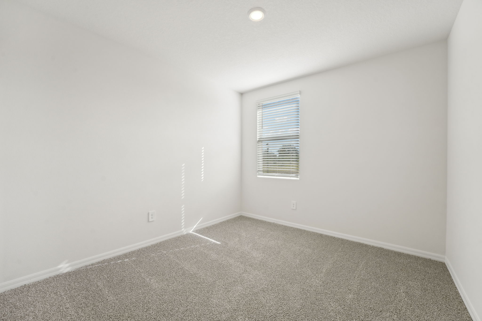 Tampa - Benton Hills - 31703 Wild Grape Ln, Brooksville, FL 34602 - 028