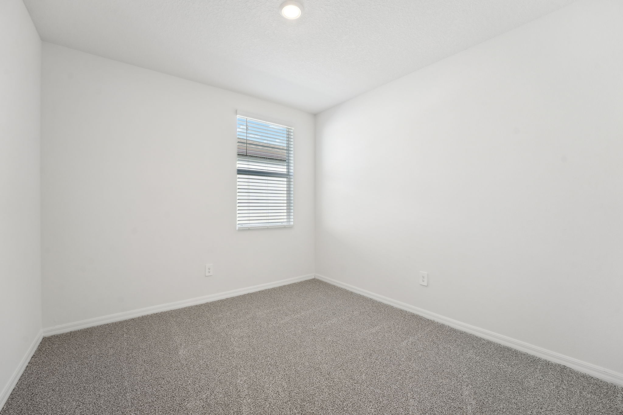 Tampa - Benton Hills - 31703 Wild Grape Ln, Brooksville, FL 34602 - 031