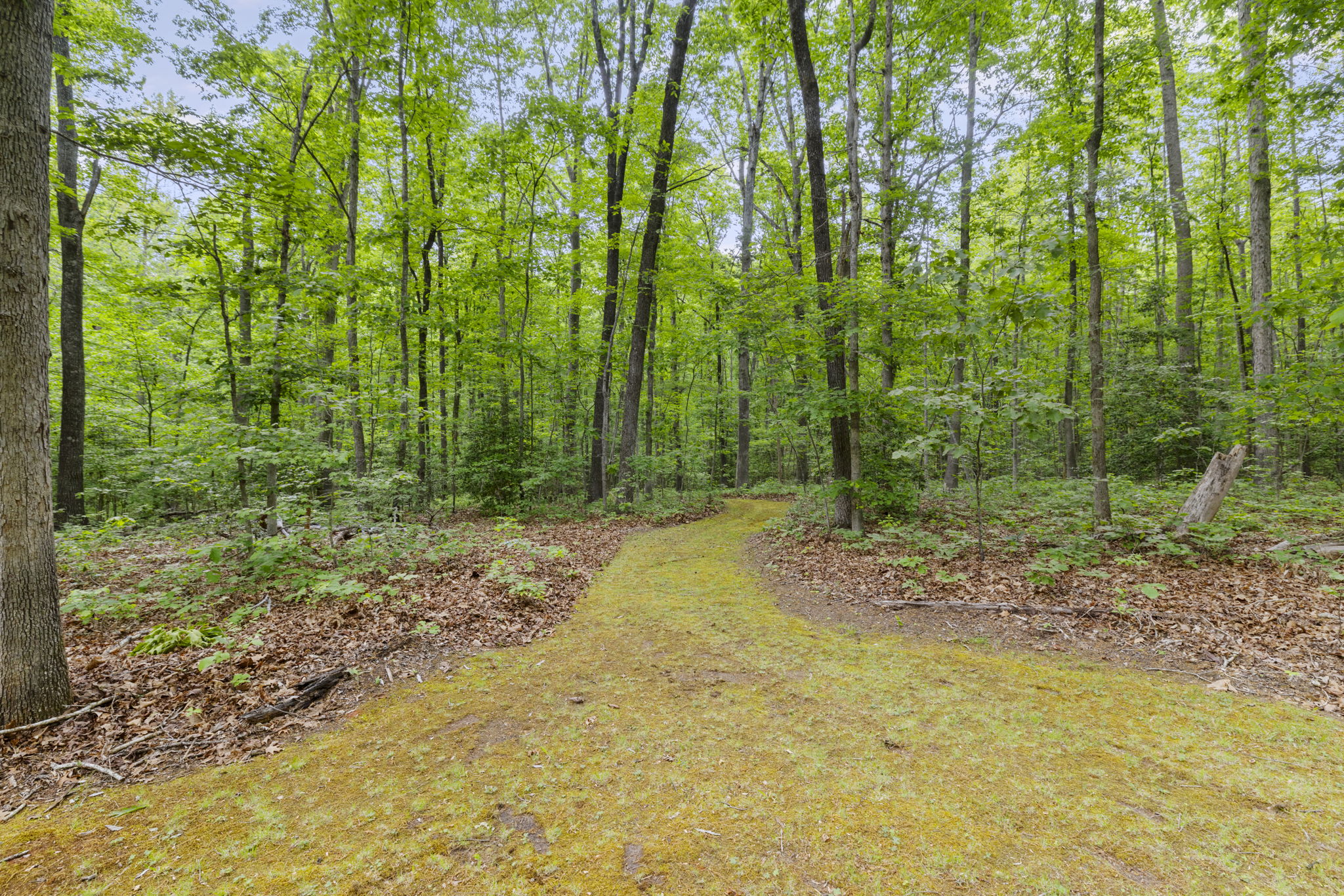 12.83 acres of serene wooded seclusion with walking/hiking trails and mature trees.