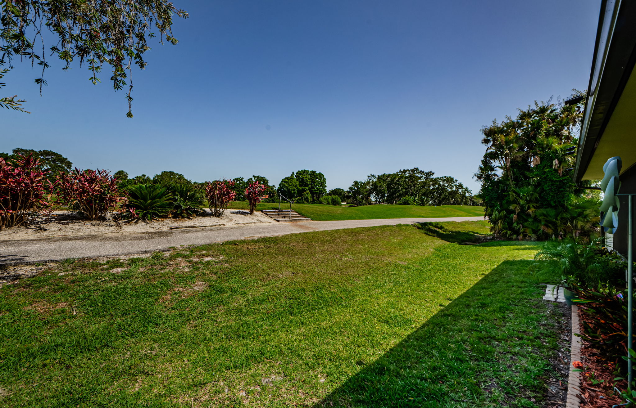 Backyard 4