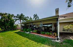 Backyard 3
