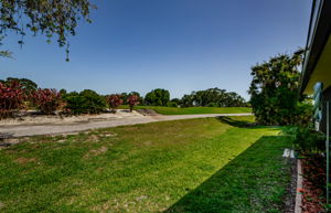 Backyard 4