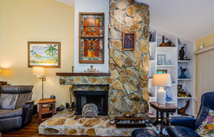 Fireplace 1